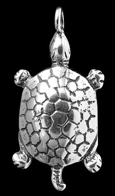 Turtle Purchase Options & Details