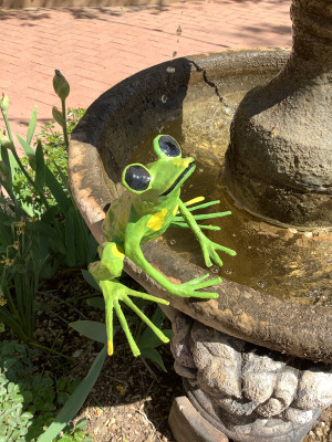 #1 Misc Papier Mache Frog Purchase Options & Details