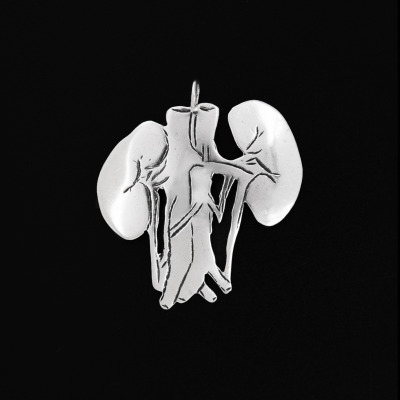 Kidneys Purchase Options & Details